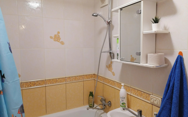 Апартаменты Квартира в Центре Борисова