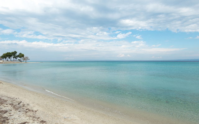 Tricot Beachfront House Pefkohori