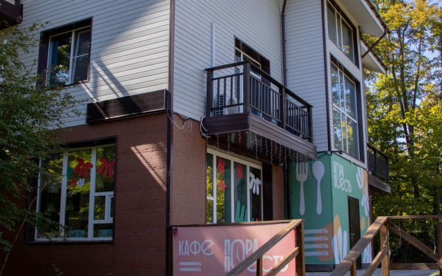 Zvyozdochka Guest house