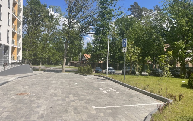 Апартаменты в сосновом лесу