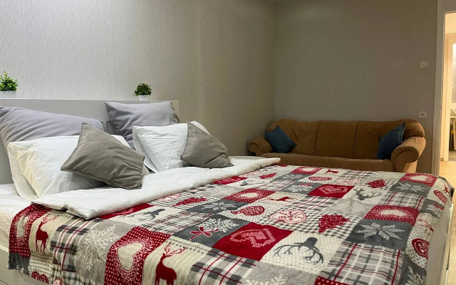 Апартаменты DaRent Karelia на Советской 6