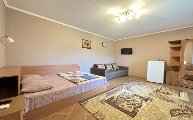 Na Revolyutsionnoy 31a Guest house