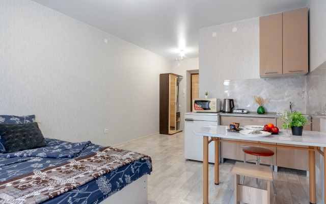 Квартира Студия в Солнечном