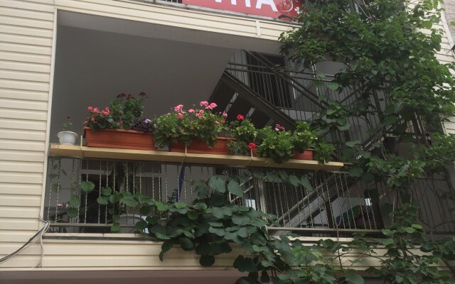 Vita Guest House