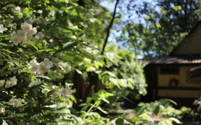 Гостевой дом Гостевой домик "Бунгало"