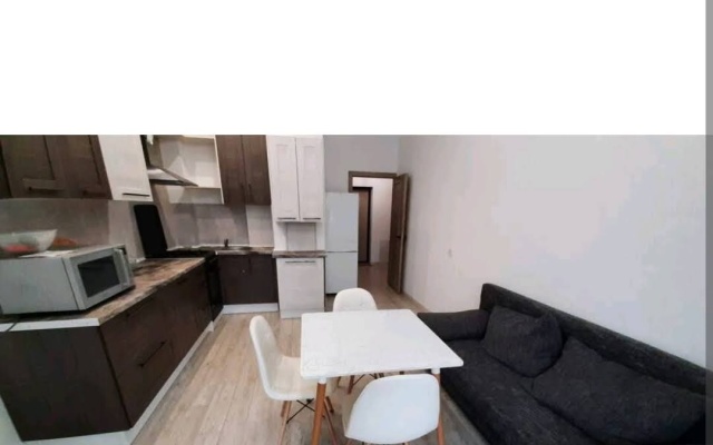 V Samom Tsentre Kaliningrada V Sovremennom Dome Apartments