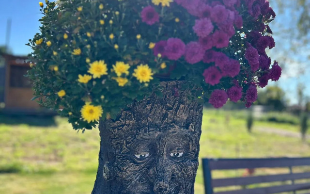 Частный дом Эко Лаптево