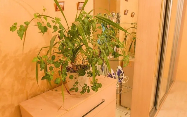 Апартаменты на улице Елизаровых 52