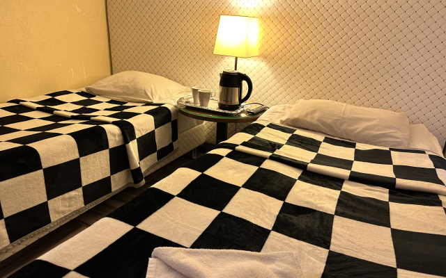 Vnukovo Port Guest House