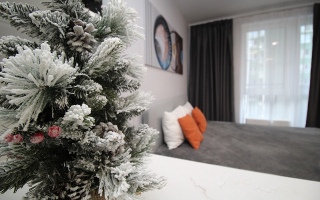 Квартира Атмосферная студия 7-244