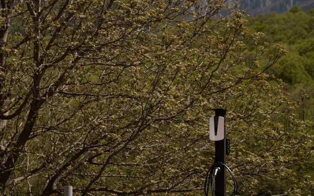 Отель Forrest Terrace