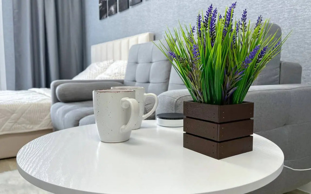 Sovremennaya Studiya V Zhk "Shotlandiya" Flat