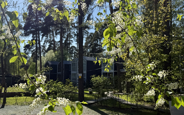 Cottages Skvoreshniki