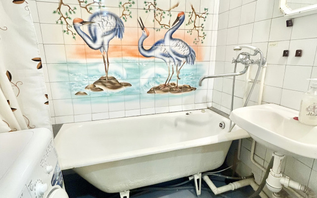 Апартаменты Смазчиков 5