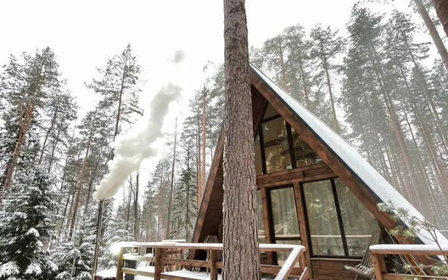 Частный дом Уютный дoм A-frame