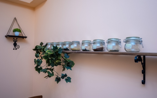 Меблированные комнаты Margot