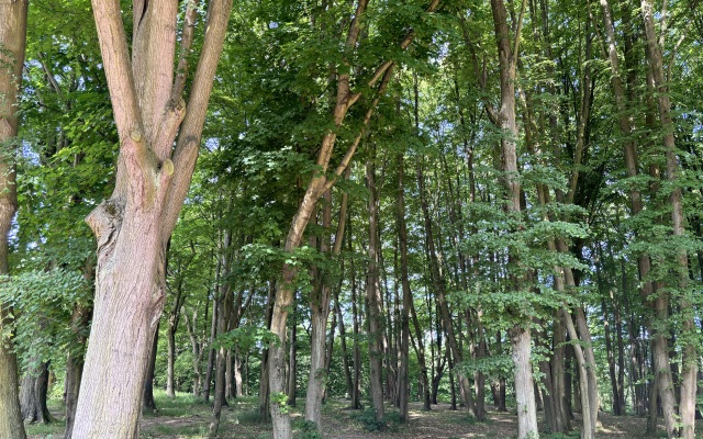 Квартира Уютная в немецком  доме возле моря