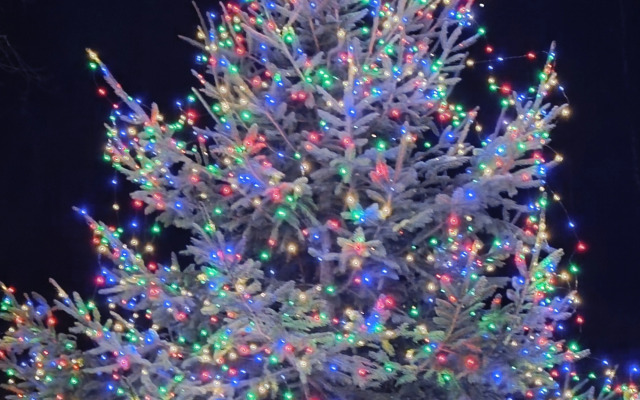 Частный дом Пихта с баней