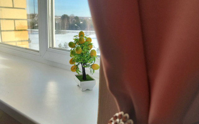 Solnechnye Vozle Reki Apartments