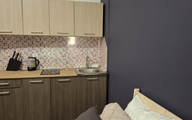 Квартира студия с видом на мост