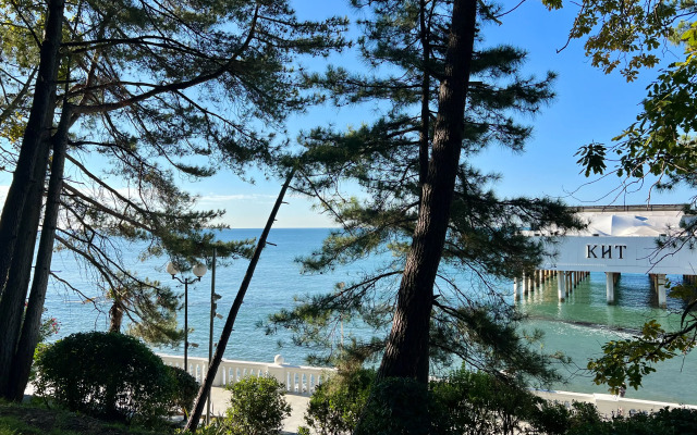 Apartments Alfa Chernomorskaya 9