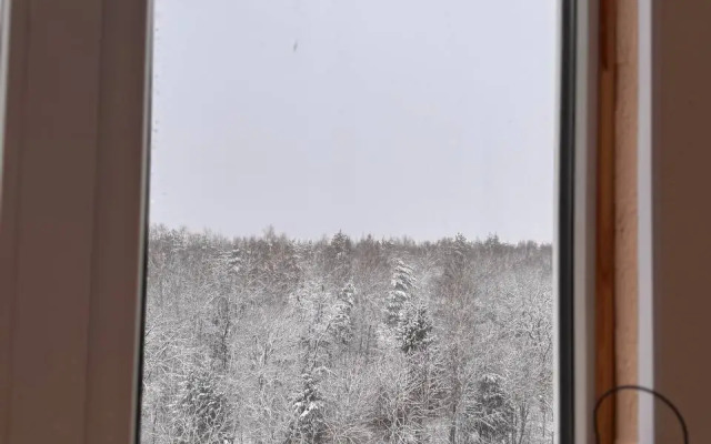 Квартира студия с лоджией и видом на лесной массив