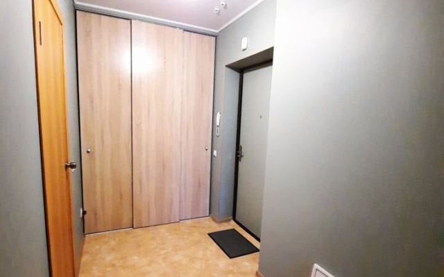 Квартира Студия метраж 33 кв