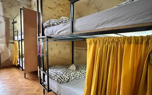 Dingo Backpackers Hostel