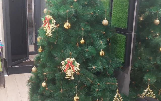 Мини-отель Green Hotel