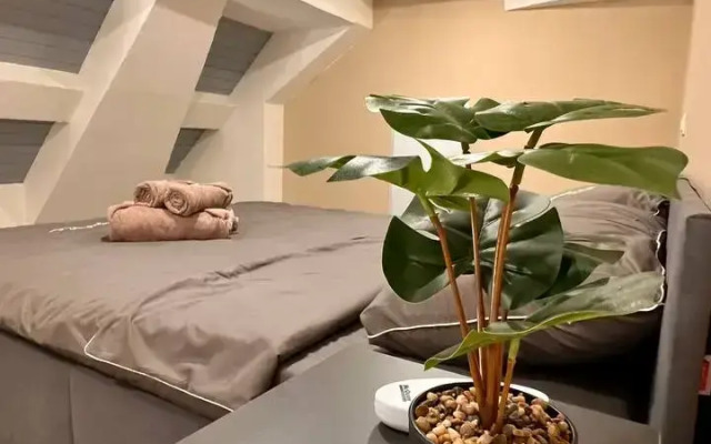 Квартира Мансарда