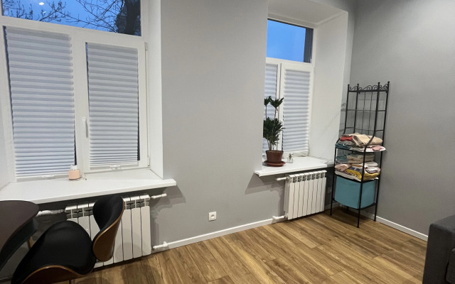 Bolshaya V Istoricheskom Tsentre Flat