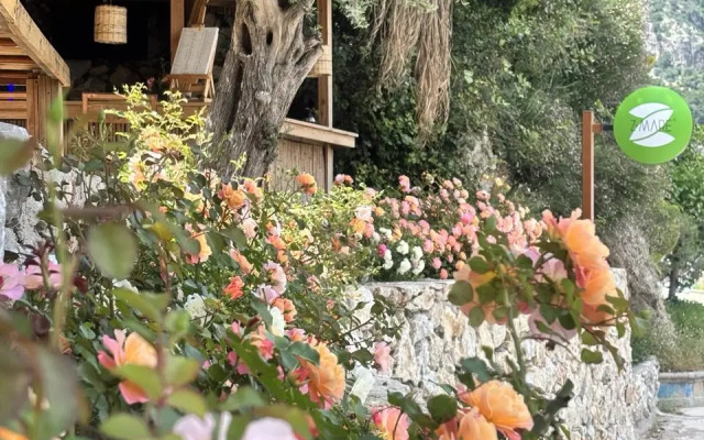 Отель Z-Villas Beach Hotel