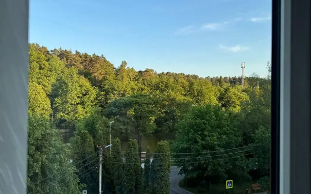 Дайкири — апартаменты с панорамными окнами и видом на озеро Тихое