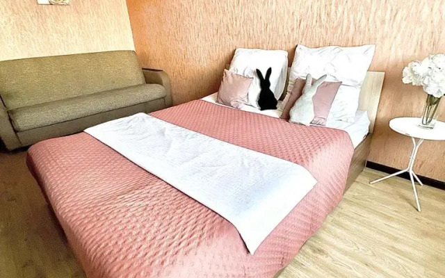 Апартаменты на Чапаева 57