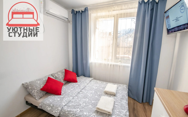 Квартира-студия 1 на Некрасовской