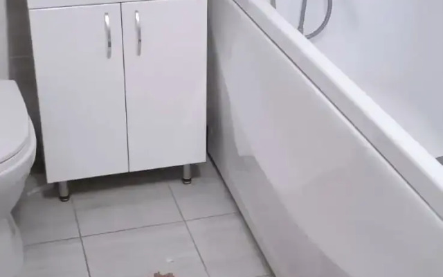 Жилое помещение Квартира