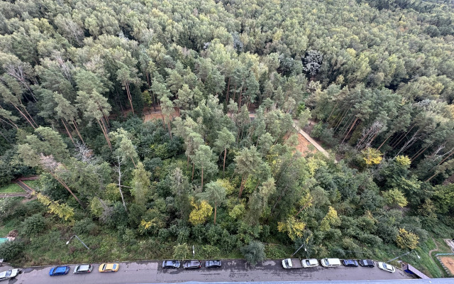 Апартаменты Простые с видом на лес