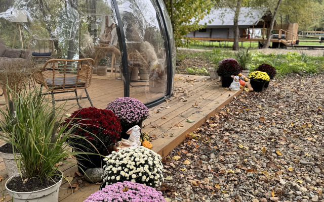 Bely Krolik Glamping