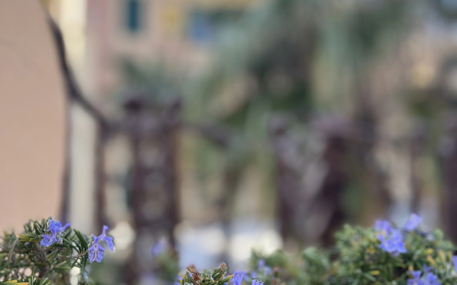 Bed&Breakfast Boutique B&B Barocchetto Romano Ostia Lido
