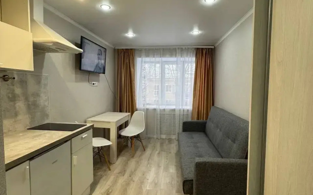 Квартира Студия у парка Победы