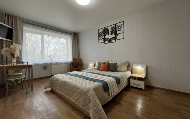 Апартаменты 1-ком Победы 23-5 Сахалин центр КакДома