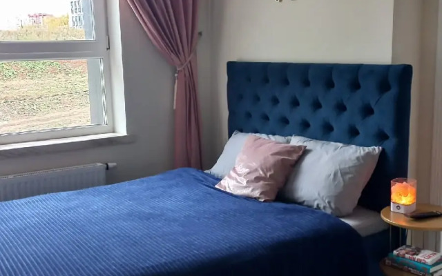 Classic Apartments