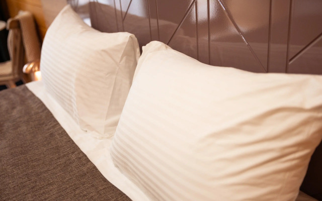 Hotel Shishki