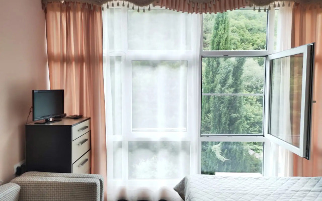 Svirskaya Tishina Guest House