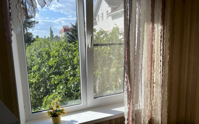 Апартаменты 387 Мичурина 7