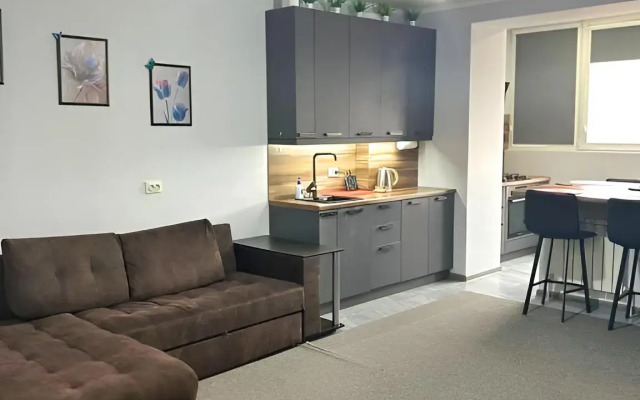 Uyutnaya Prostornaya Yevrodvushka S Vidom Na Goru Flat