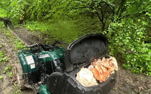 Гостевой дом Ранчо в горах Лаго-Наки
