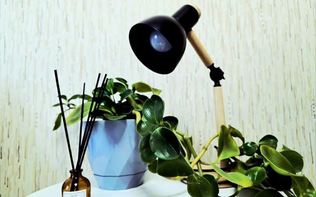 Na Ulitse Gertsena 4a Flat