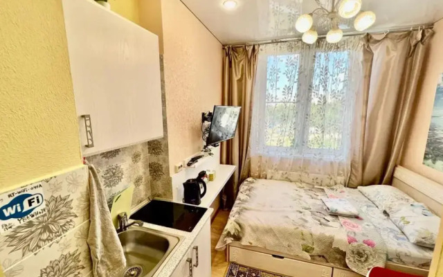 Апартаменты Panorama Kazan Studio Center