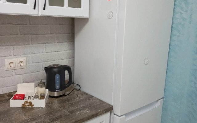 Relax odnushka v tsentre dlya troikh Flat